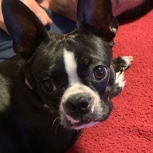 Meet your Posher, Jen